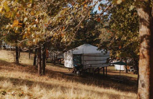 Cosy yurt at a nature retreat in Dunlap CA - Photo 28