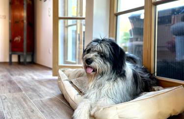 DIE ZWEI CHALETS AM TEGERNSEE "s' Gloane" & "s' Große" - Foto 6