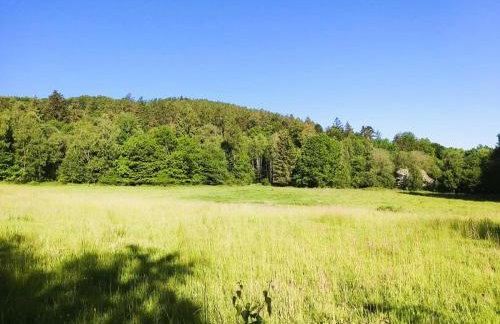 M&E Cztery pory roku Szklarka 25A - Foto 31