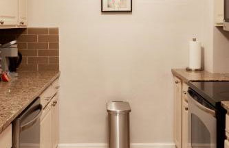 Star Oasis 1 Bedroom Condo Downtown Atlanta - Foto 20