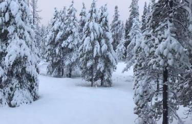 Modern Gambrel Cabin Near Ski Resorts - Photo 19