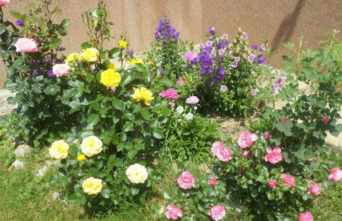 House Petra - Foto 27