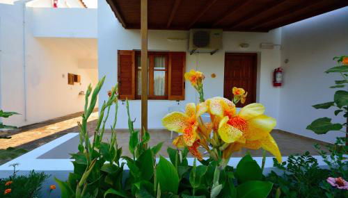 Studios Calvinos - Foto 5