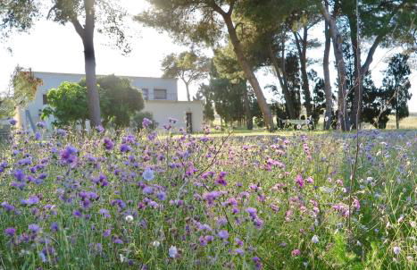 La Dimora di Ulisse - Foto 27