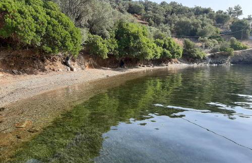 Chiona΄s Apartments by the Sea - Photo 1