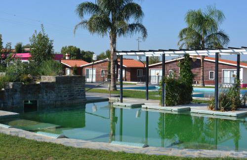 Lusitaurus - Foto 34