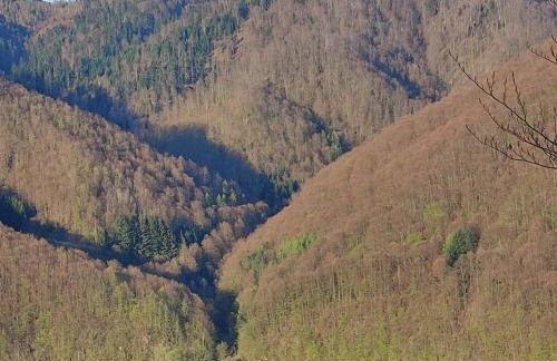 Domek u Majki - Photo 11