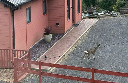 Ghillie's Croft Cabin, Rothesay - Foto 22