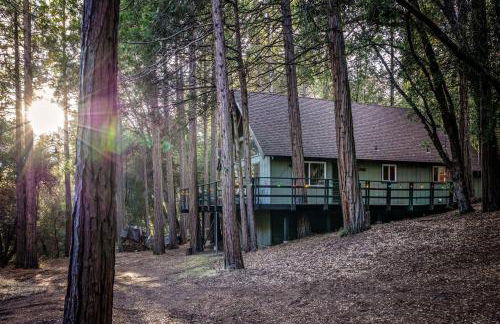 Trout River Cabin - Cozy Quiet Peaceful Retreat - Foto 27