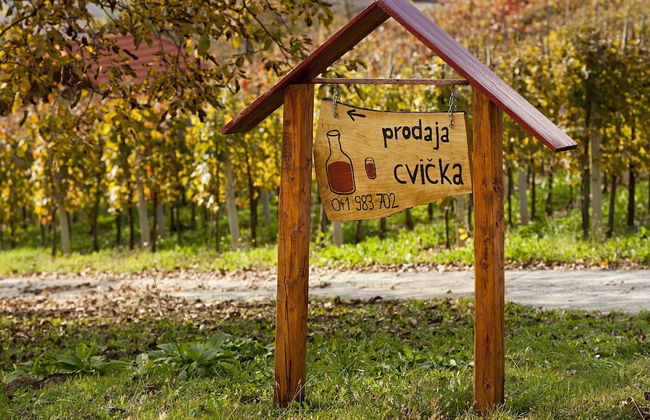 Vineyard cottage Ucman - Foto 11