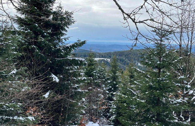 House in Vosges Near Forest and Hiking Trails - Photo 42