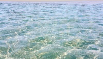 Agrumare Farm Holiday - Foto 2