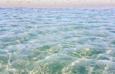 Agrumare Farm Holiday - Foto 2