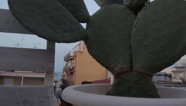 Residence Pugliamare - Foto 3