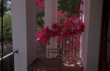 Apartamento Rural Las Palmeras - Foto 14