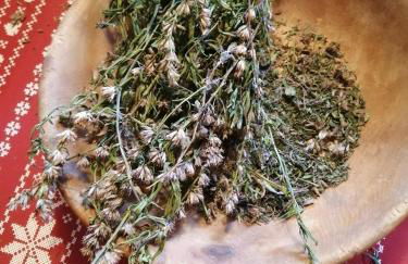 Ferienwohnungen JoJaSa - Foto 8