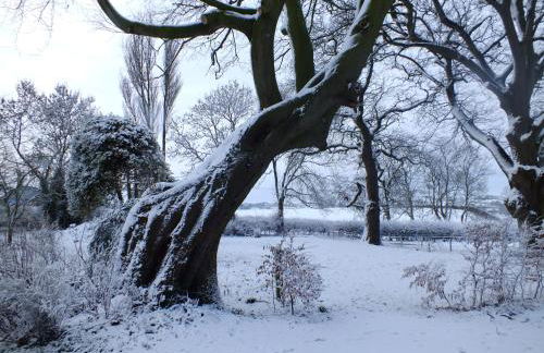 White House Farm Cottages - Photo 26