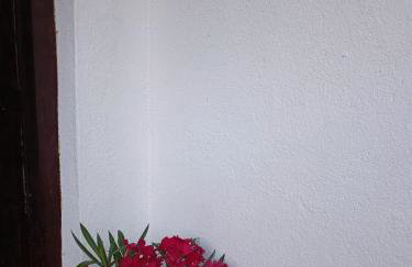 Apartments Hortenzija - Photo 22