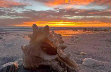 Cocoa, Beach house - Foto 34