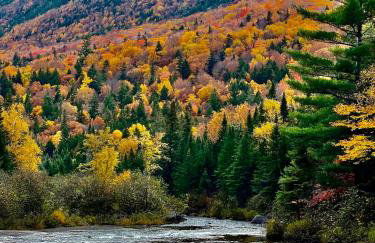 Mattawamkeag River Cottage - Foto 9