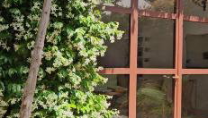 CASADÔ - Photo 2