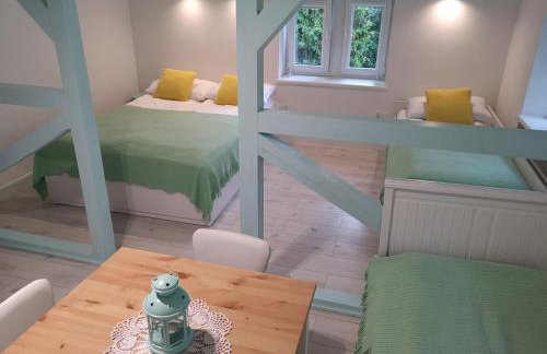 Kot Pocztowy - Foto 46