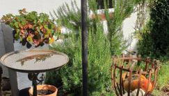 Ferienwohnung-Ulinde - Foto 3