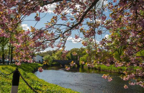 Little Apple Cottage- Free Parking, Hot tub, Fire, Town Centre - Foto 31