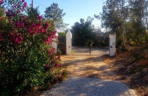 Bohème Valdareina, PISCINE CHAUFFEE, Bénagil-Carvoeiro - Foto 52