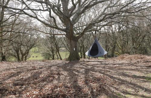 Pheasant Lodge - Photo 23