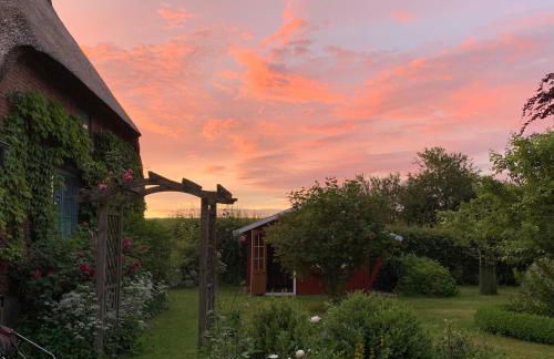 Ferienhaus Alte Stellmacherei - Foto 23