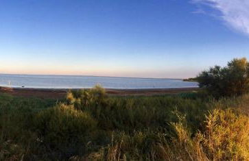 "La Pradeto" gite rural Camargue - Foto 27