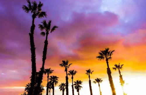 Venice Florida near beach - Foto 6