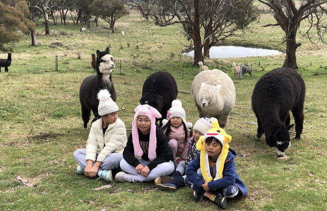 High Country Trail Rides & Farm Stay - Foto 18