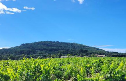 Gîte Provence Piscine Luberon - Domaine ARTEMISS - Foto 25