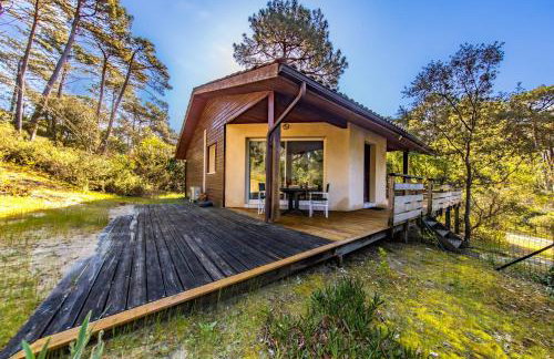 La Pinède - Carcans, Medoc - Photo 6