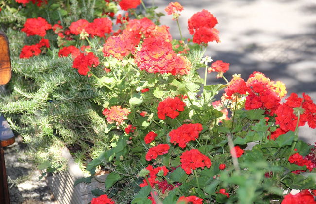 Caravelle Camping Village - Foto 26