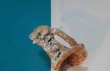 Apartments Mladinić - Foto 9