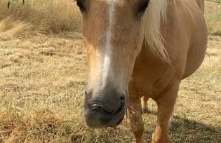 Lodge - Le Clos Devançon - Foto 26