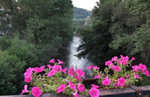 Acogedor Apartamento Rústico en Pirineos - Foto 1