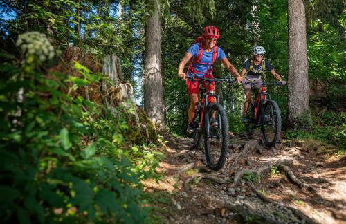 Haus Bergblick | Fahl Grundstücks GbR - Photo 26