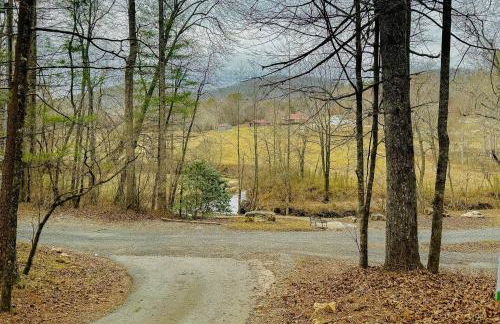 Bluebird Bliss - Foto 36