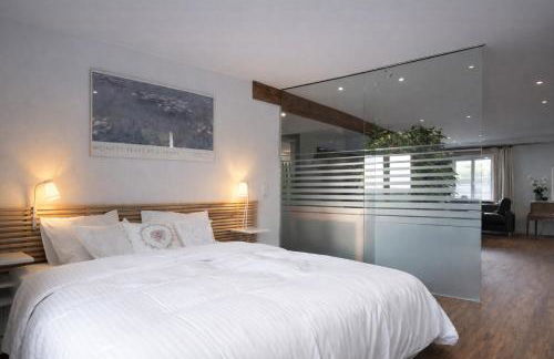 Exklusive LOFT-Wohnung, nur 30 Min von Zürich - Foto 8