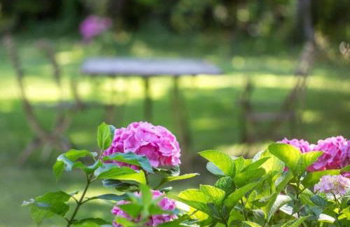 "Vicinia" with garden in the castle - Foto 17