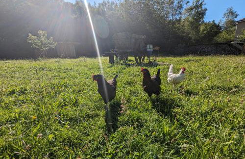 Au Ptit Bonheur De La Semoy - Foto 25