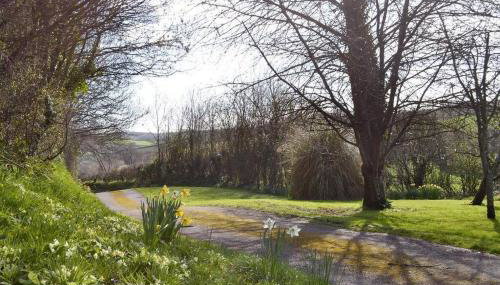 Swift Cottage - Foto 3, Garden view