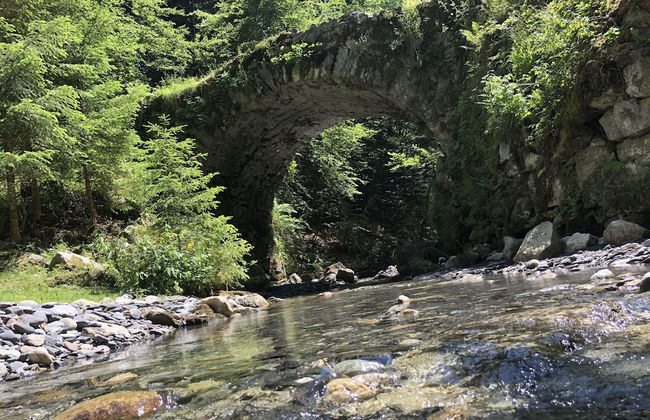 Le Moulin des Olirics - Foto 19