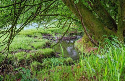 3 Bed in Camelford oc-pendw - Foto 27