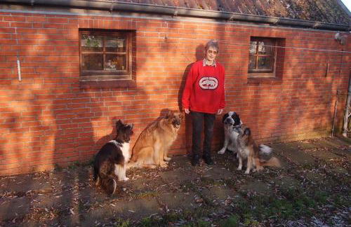 Ferienwohnung Lumme - Foto 11