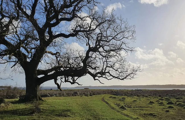 6 Person Holiday Home in Kettinge - Foto 26